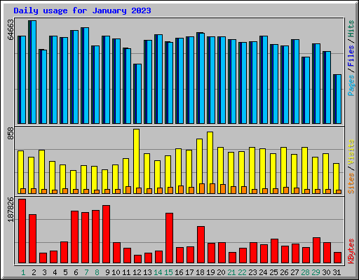 Daily usage for January 2023