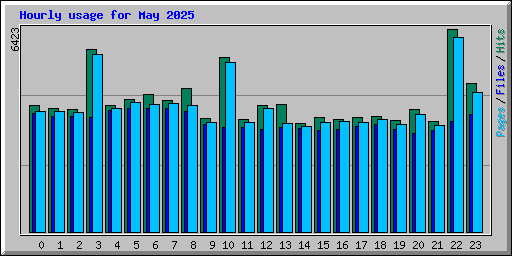 Hourly usage for May 2025