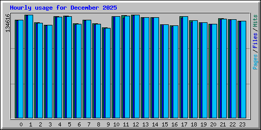 Hourly usage for December 2025