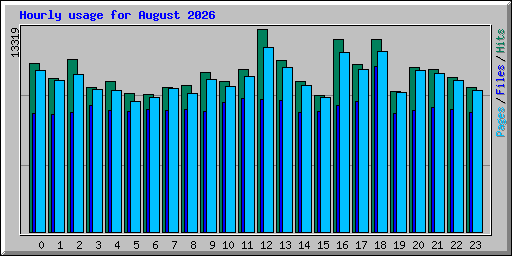 Hourly usage for August 2026