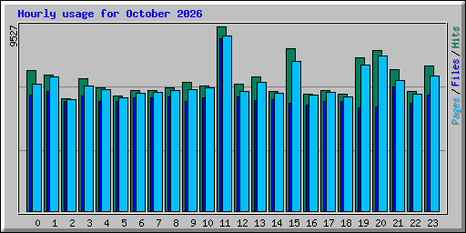 Hourly usage for October 2026
