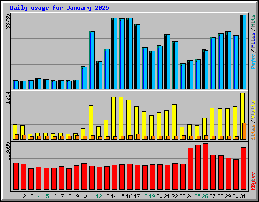 Daily usage for January 2025