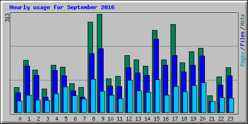 Hourly usage for September 2016
