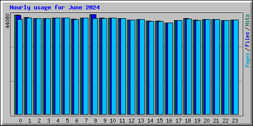 Hourly usage for June 2024