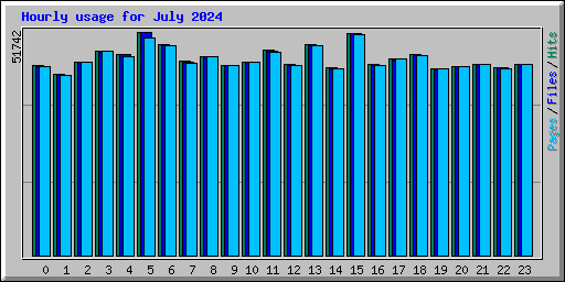 Hourly usage for July 2024