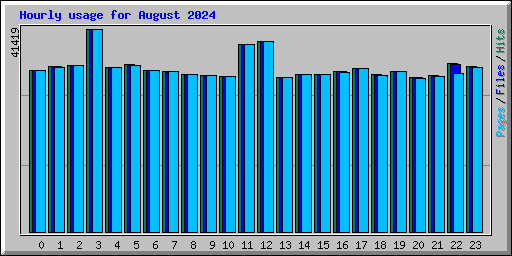 Hourly usage for August 2024