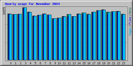 Hourly usage for November 2024
