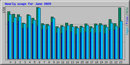 Hourly usage for June 2025