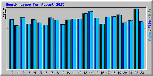 Hourly usage for August 2025