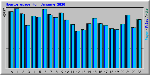 Hourly usage for January 2026