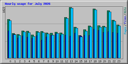 Hourly usage for July 2026